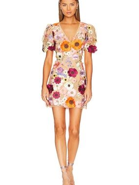 Elliatt Neve Mini Dress with Multicolor 3D Floral Embroidery